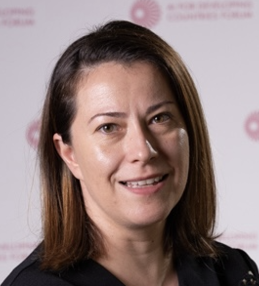 Iulia Vasilica I. Stamatescu