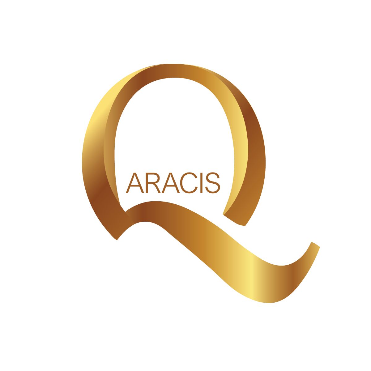 Logo ARACIS