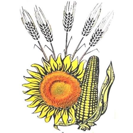 Institutul Național de Cercetare - Dezvoltare Agricolă Fundulea