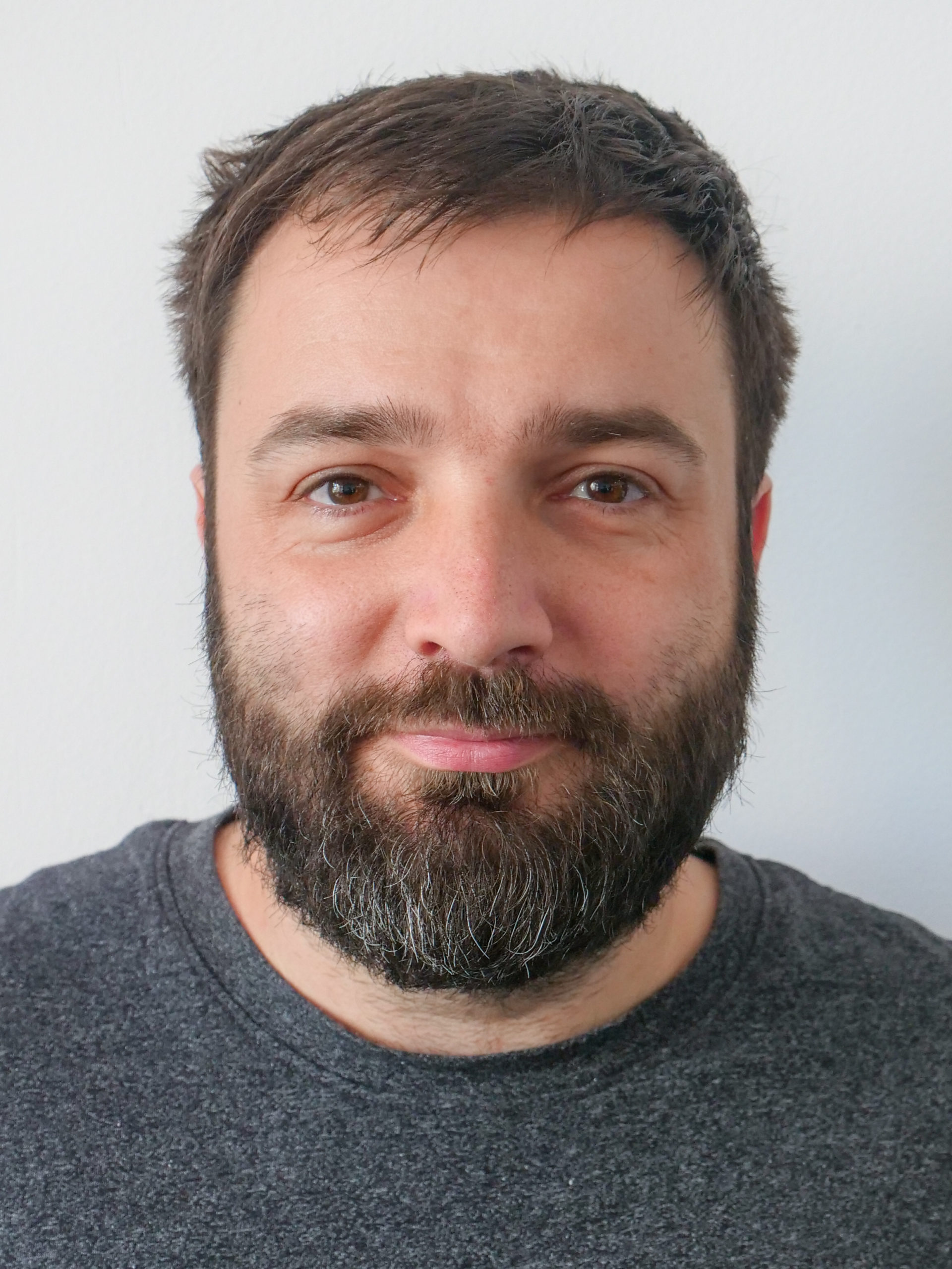 Florin I. Stoican
